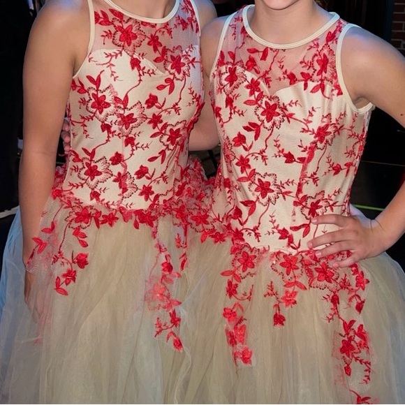 Girls Women's Dance Ballet Pointe Tutu Dress Costume Red Floral Revolution AS - Picture 2 of 4